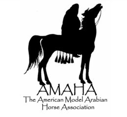 American Model Arabian Horse Association Logo